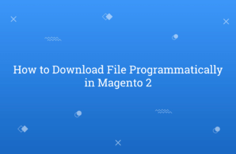 How to Download File Programmatically in Magento 2